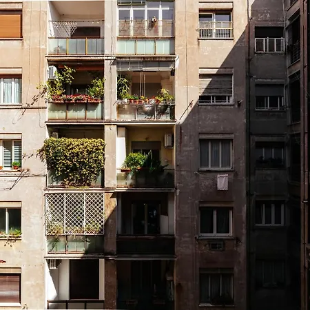 Residenza Il Giglio Gasthof Rom
