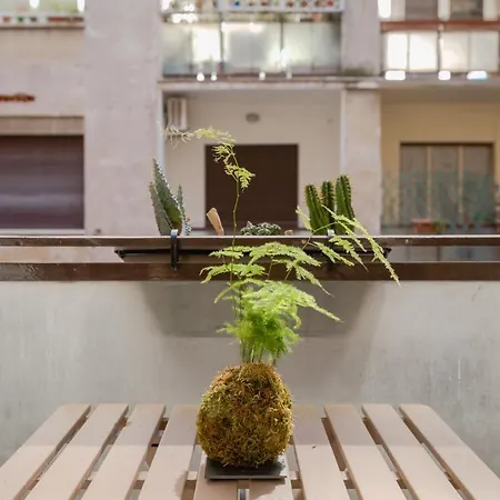Residenza Il Giglio בית הארחה רומא
